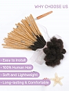 Ombre T1B/27 Standard Human Hair Loc Extensions