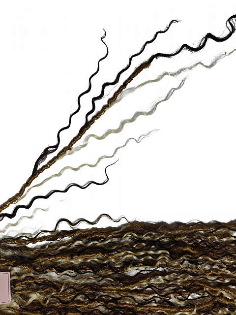 Pre-looped Blonde Crochet Boho Locs with Human Hair Curls