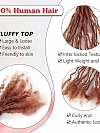 100% Human Hair 350&30# Sister Locks Extensions With s Soft Interlocs for Crochet