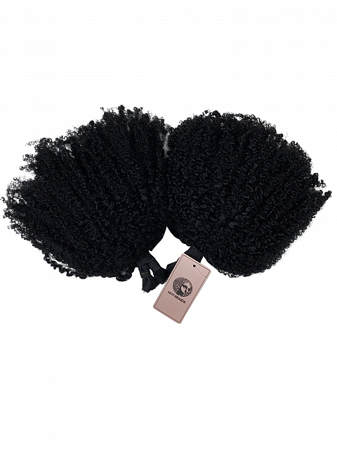 Exotic Afro Kinky Coily - Bulk Human Hair - Loose/Braids