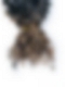 #1B30 Spring Twist- Bulk Human Hair - Loose/Twists