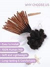 Ombre T1B/30 Standard Human Hair Loc Extensions
