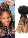 Cheveux Human Regular and Pop Afro Kinky Human Remy Hair Locs Permanent Dreadlocks Extensions