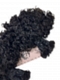 3b3c Texture-Exotic Kinky Curly - Bulk Human Hair - Loose/Braids
