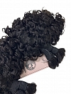 3b3c Texture-Exotic Kinky Curly - Bulk Human Hair - Loose/Braids