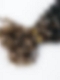 #1B30 Spring Twist- Bulk Human Hair - Loose/Twists