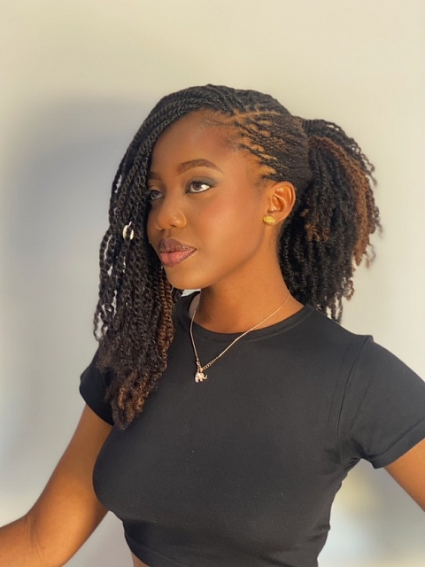 Tight Afro Kinky - Bulk Human Hair - Dreadlocs/Twists