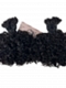3b3c Texture-Exotic Kinky Curly - Bulk Human Hair - Loose/Braids