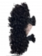 3b3c Texture-Exotic Kinky Curly - Bulk Human Hair - Loose/Braids
