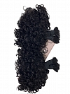 3b3c Texture-Exotic Kinky Curly - Bulk Human Hair - Loose/Braids