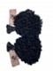 3c4a Texture-Exotic Kinky Coily - Bulk Human Hair - Loose/Braids