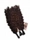 Dark Auburn Soft Wavy - Bulk Human Hair - Loose/Braids