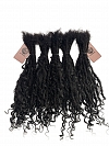 Goddess Human Hair Loc Extensions Natural Black